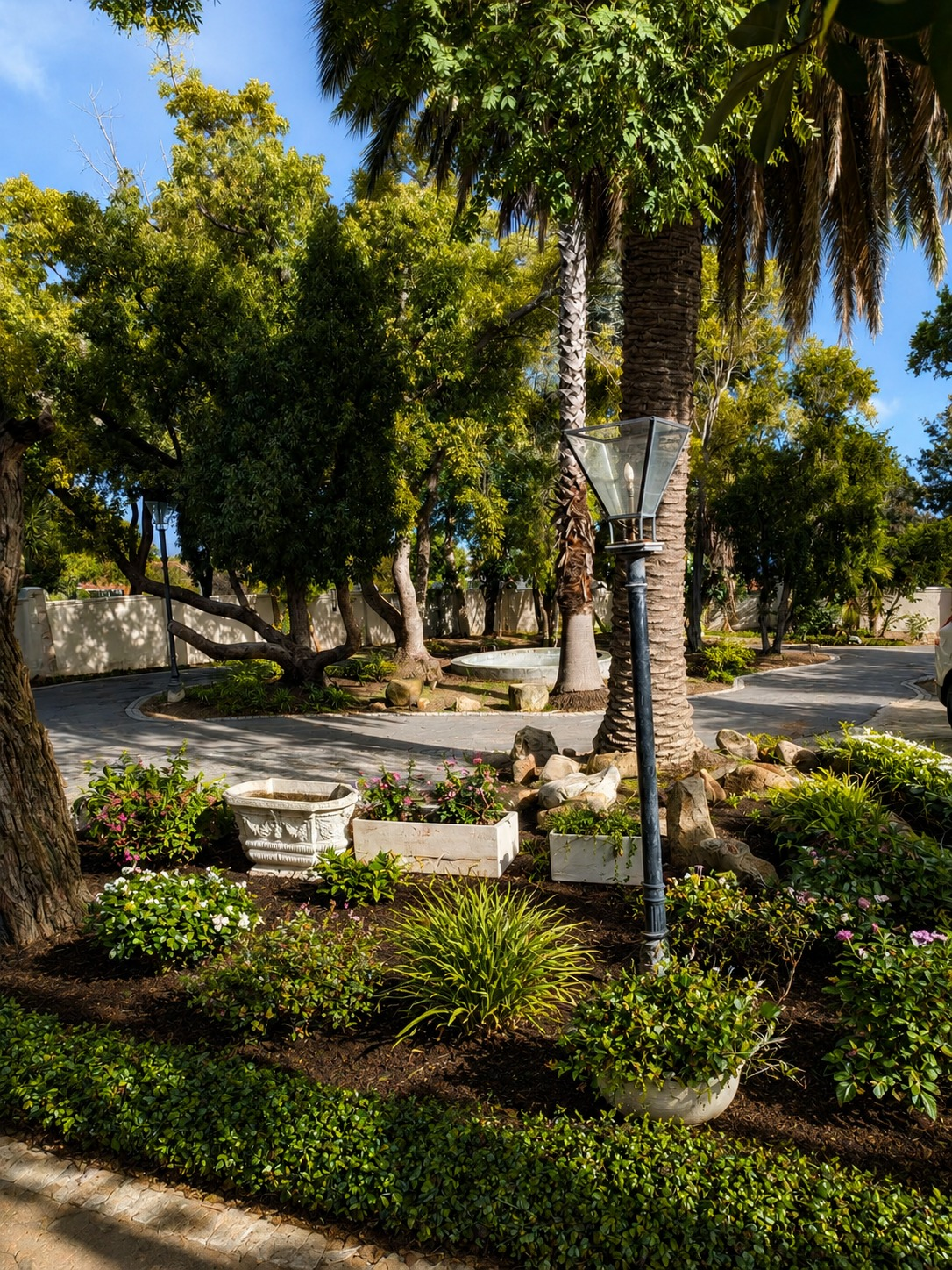 Driveway and garden